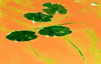 N 062E